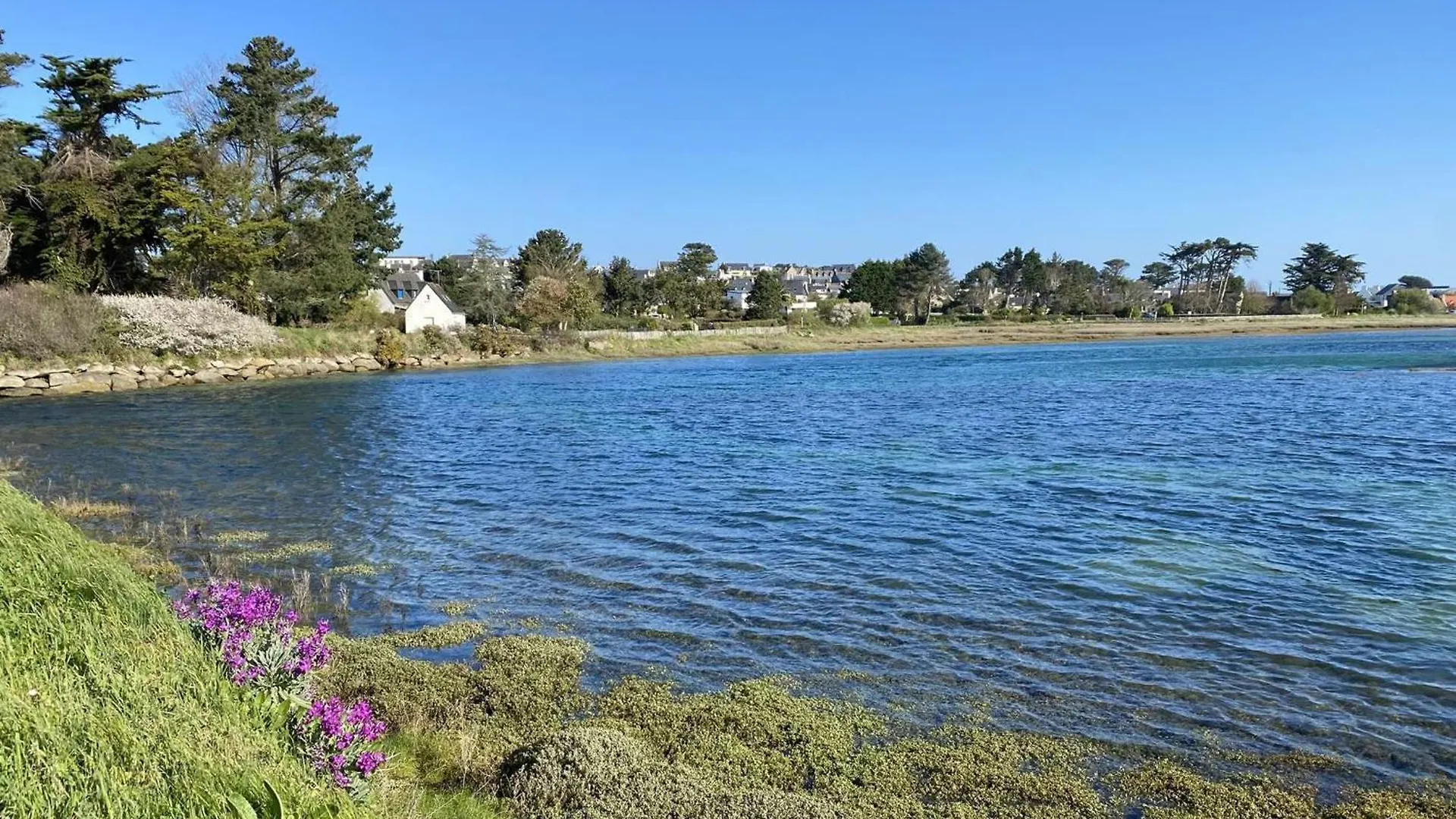 Maison Avec Wifi, Jardin Clos Et Terrasse, A 500M De La Mer Et Du Gr34, Ile Grande - Fr-1-368-13 Pleumeur-Bodou