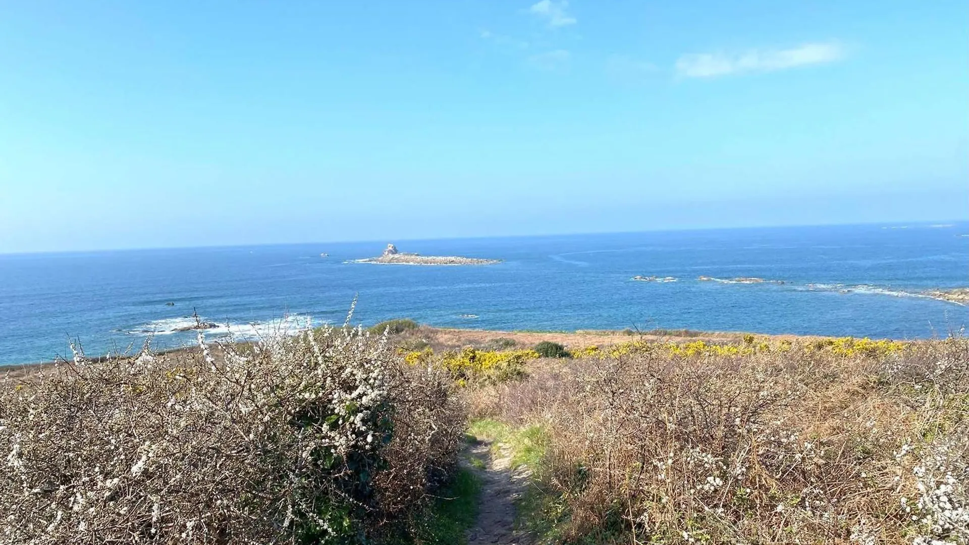 Maison Avec Wifi, Jardin Clos Et Terrasse, A 500M De La Mer Et Du Gr34, Ile Grande - Fr-1-368-13 Pleumeur-Bodou Feriehus